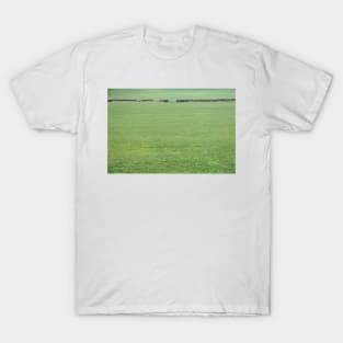 Green Green Grass Of Home T-Shirt